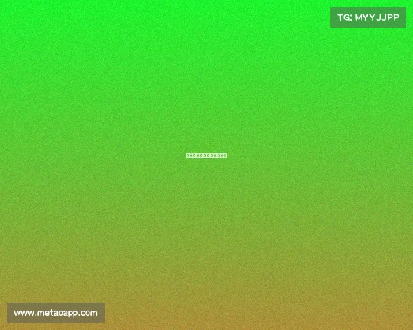 李宁主办的赛事李宁的比赛